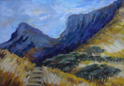 Phillipa Johnson
